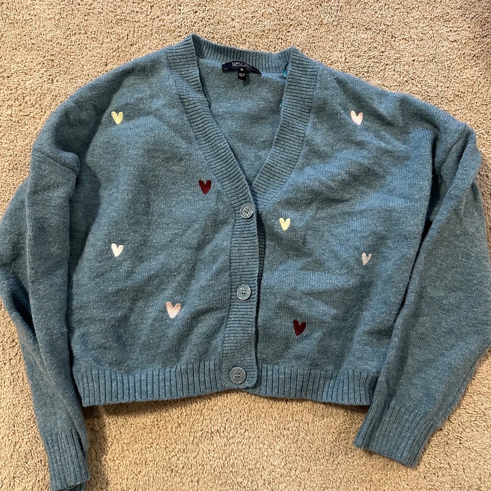 Blue Witty Fox cardigan sweater